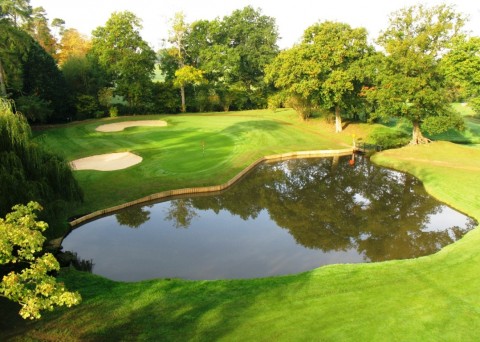 The 12th hole on the Championship course