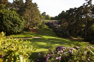 Place your bids to win a round at Woburn