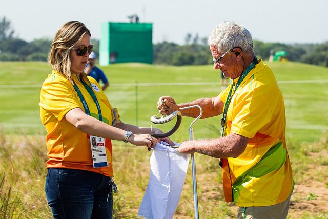 There weren't just birdies and eagles on show in Rio, a snake that slithered onto the course had to be safely caught and removed before play could continue