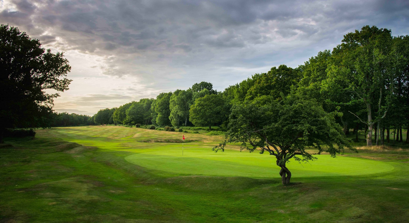 Más de 100 de los mejores golfistas del Reino Unido se dirigen a Berkhamsted - Golf News | Revista de golf