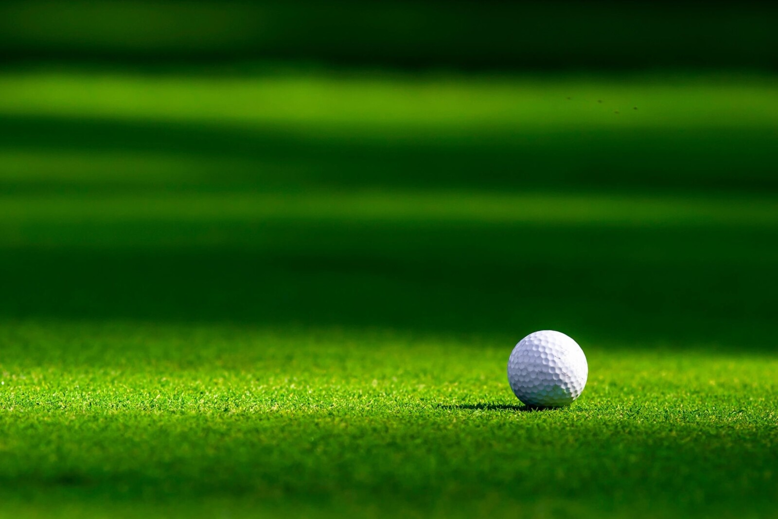 Introduction to Golf: A Guide for Beginners – Golf News